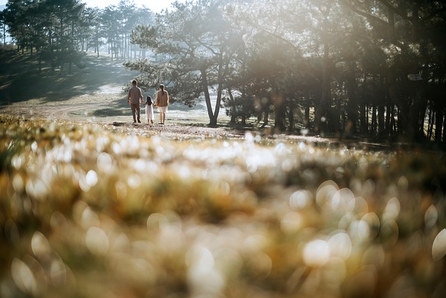 Sammenligning: Er familieabonnementer virkelig pengene værd?