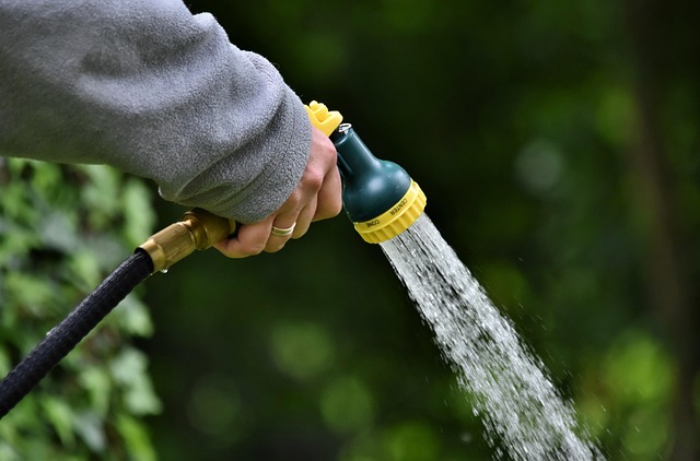 Insektfri have: Planter der holder skadedyrene på afstand